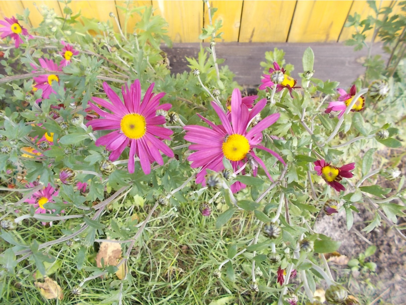 DSCN0926.JPG