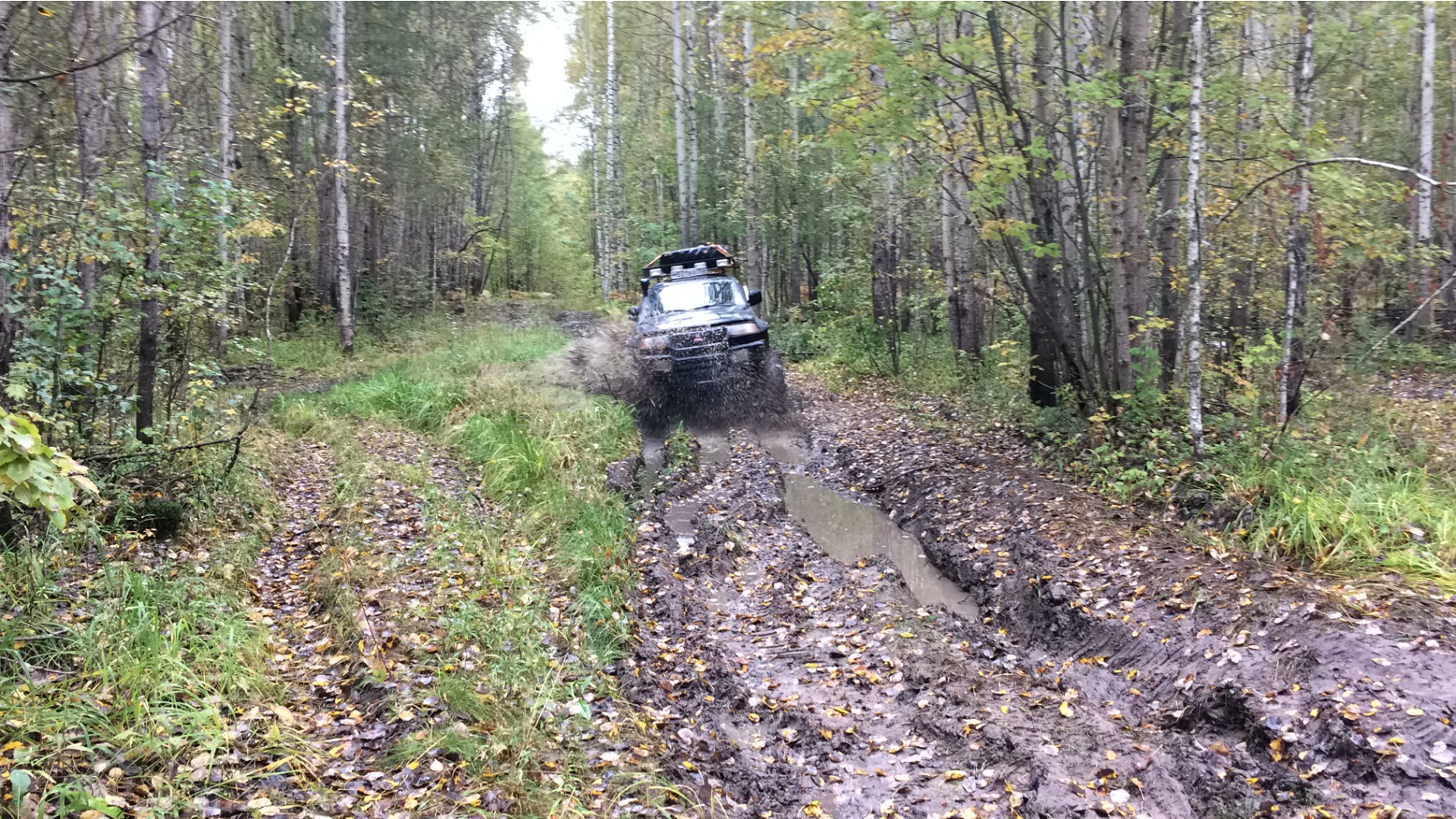 IMG 2225.JPG