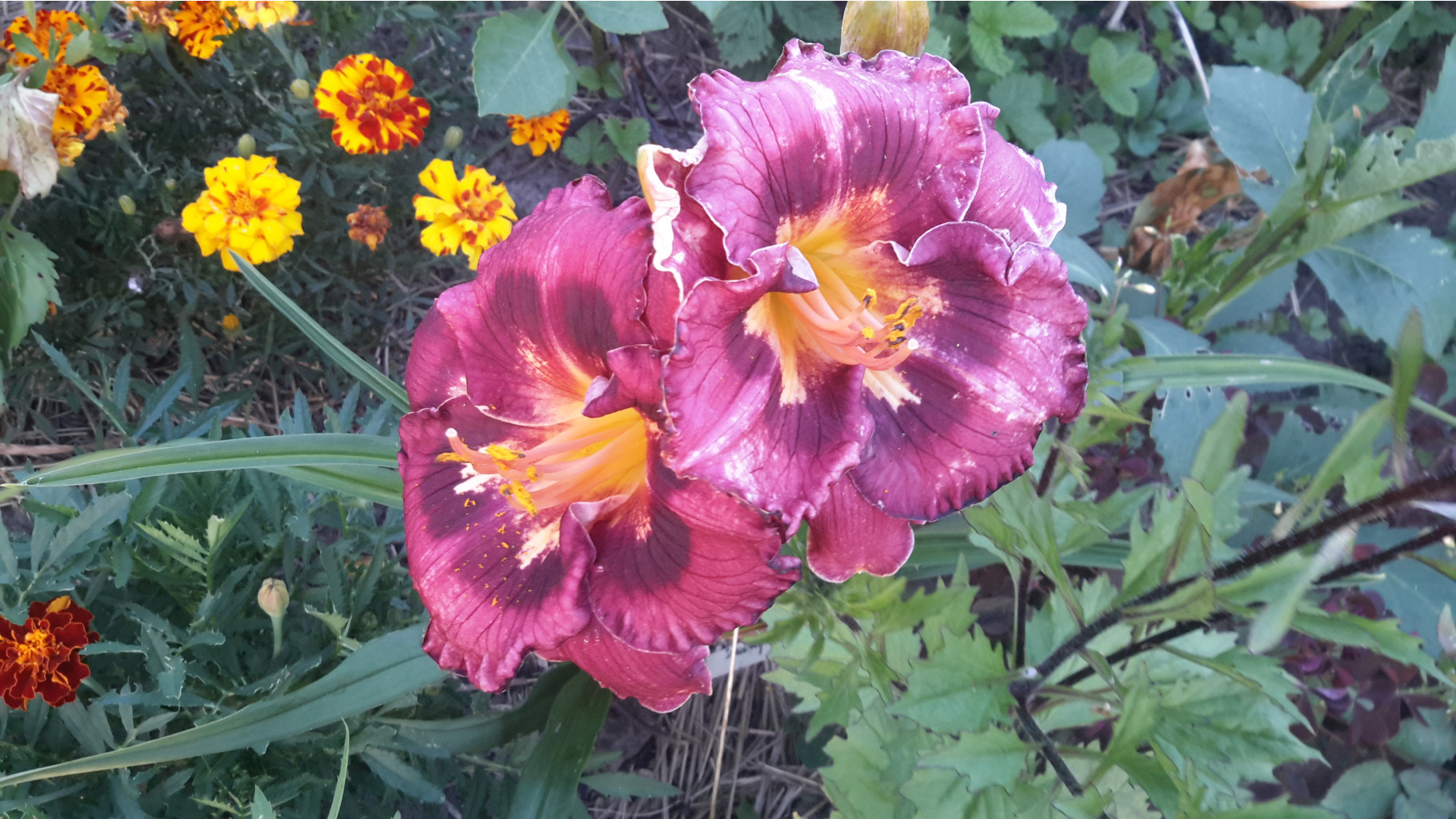 20150728 191050.jpg