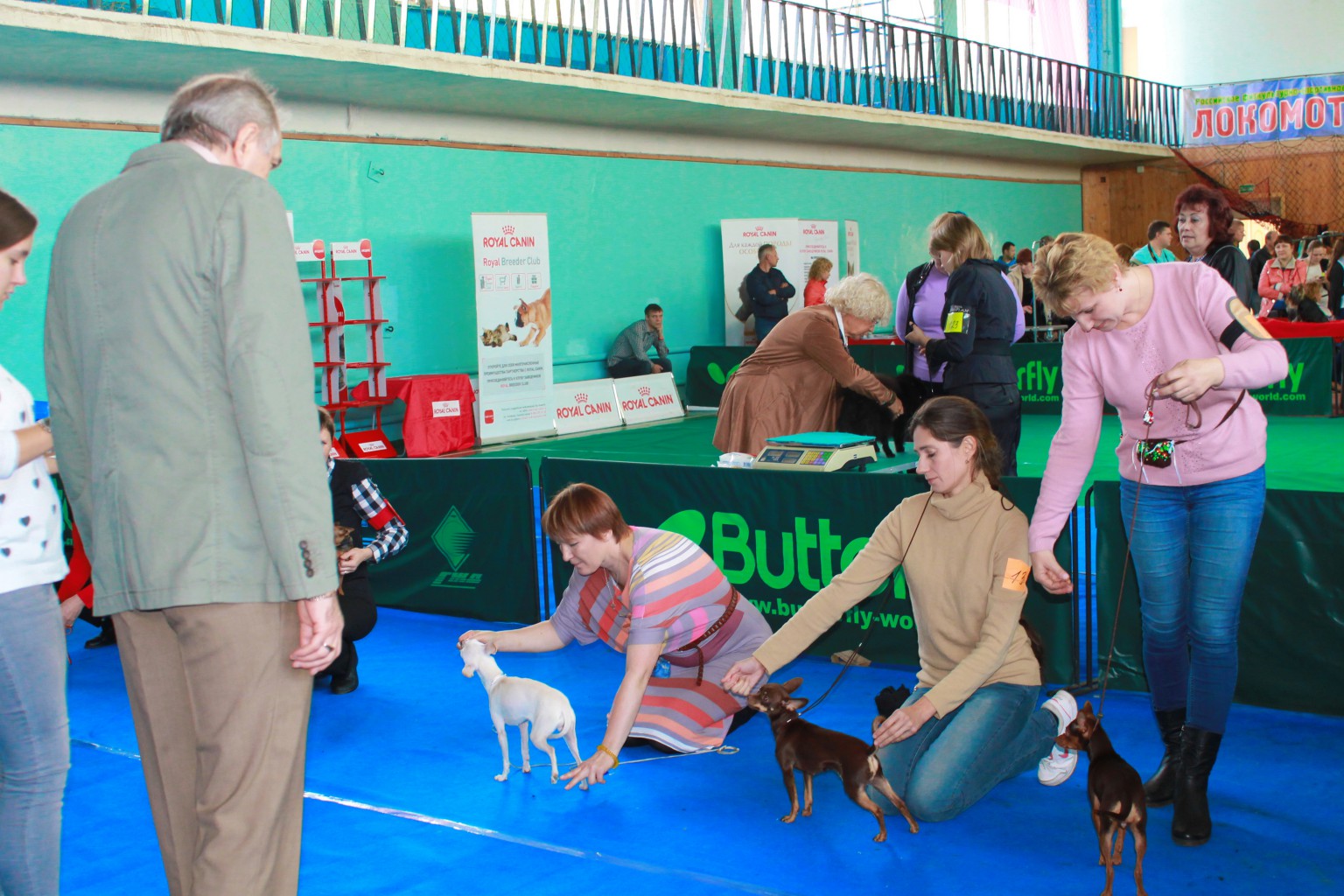 IMG 5690.JPG