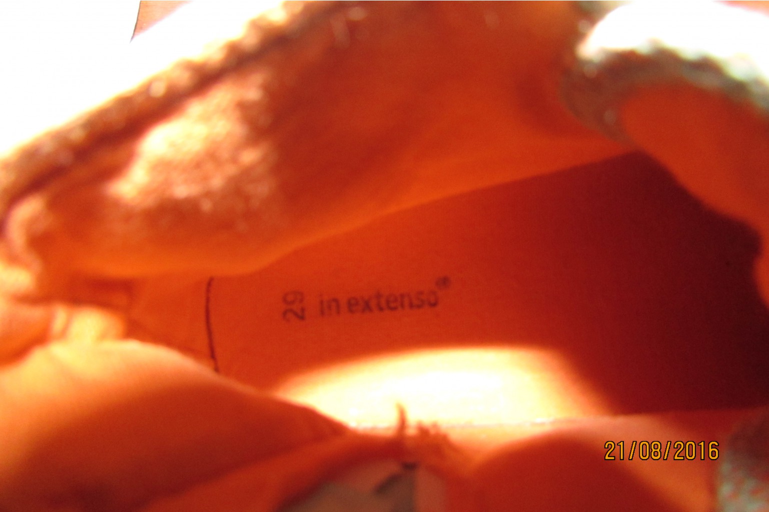 IMG 2809.JPG