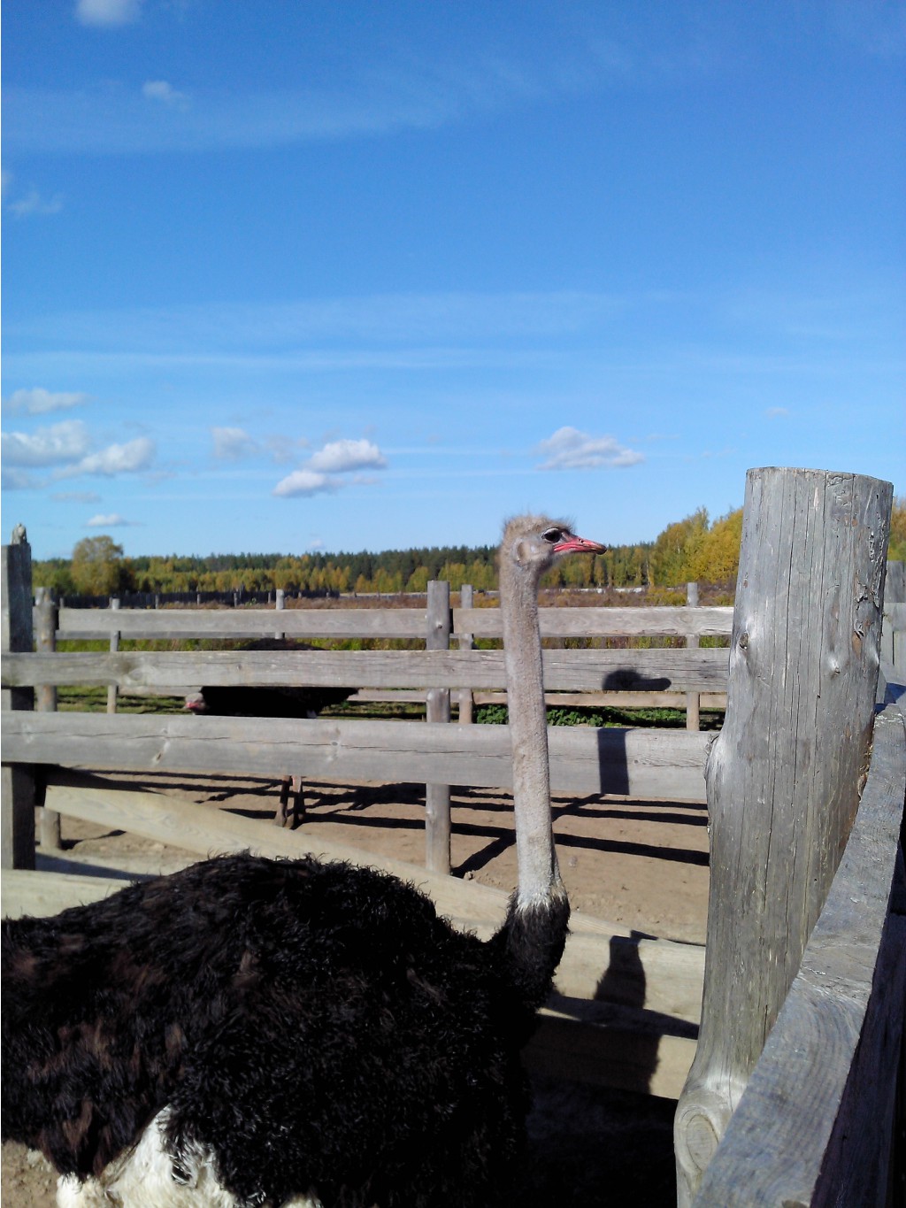 IMG 20161002 120641.jpg