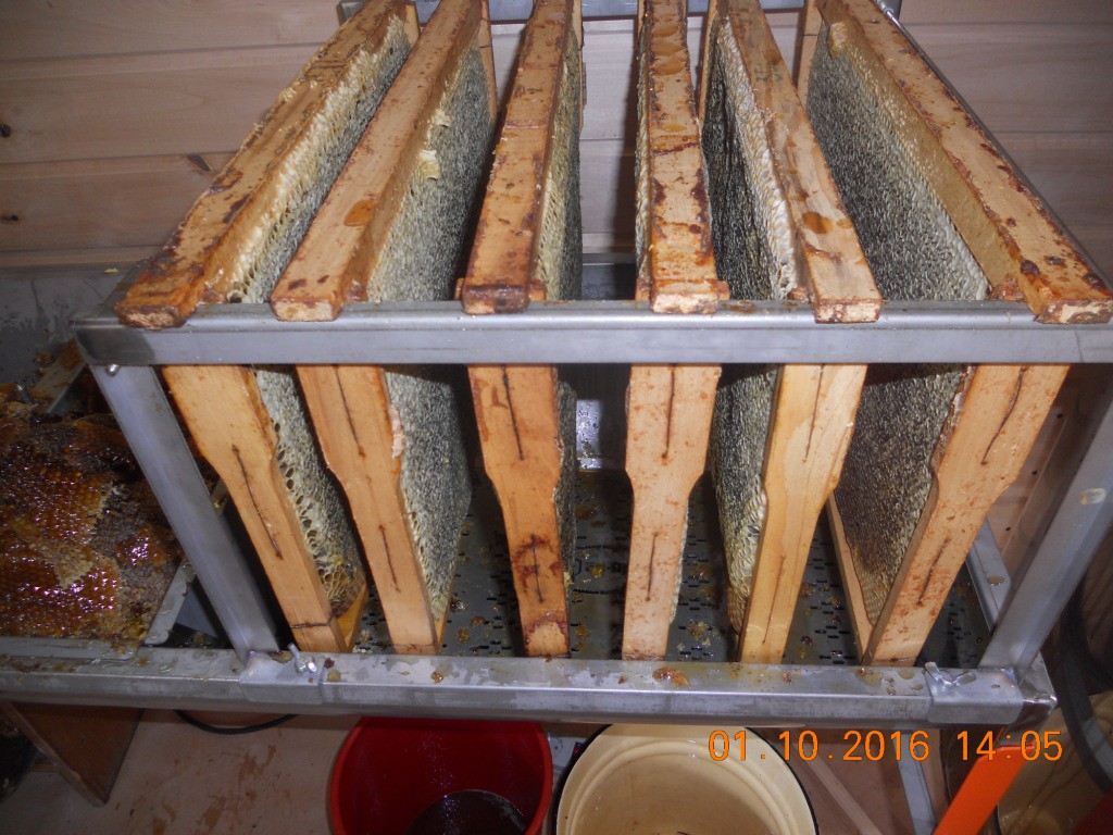 DSCN1788.JPG