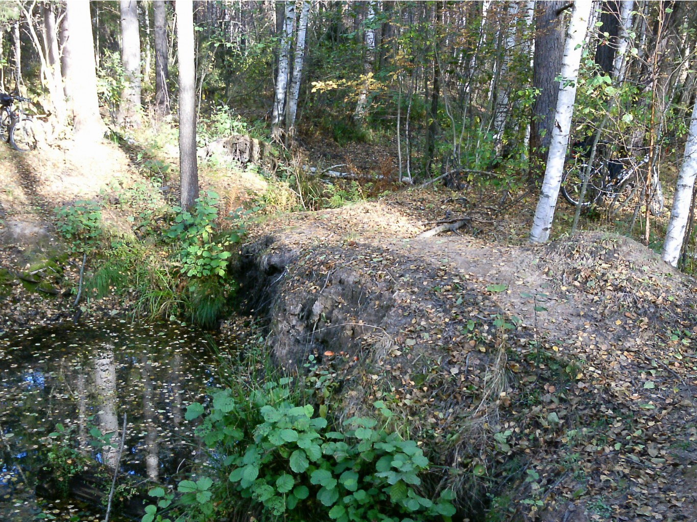 PTDC0453.JPG