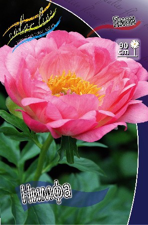 172,1.  (   1 .,   1.).jpg