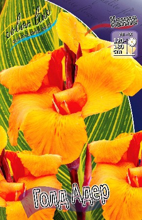 84,5.  ()  (   2 .,   1.).jpg