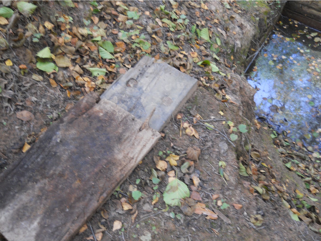 DSCN3198.JPG
