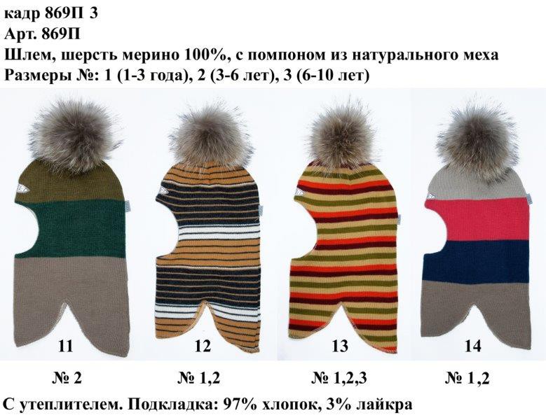 869П3.jpg