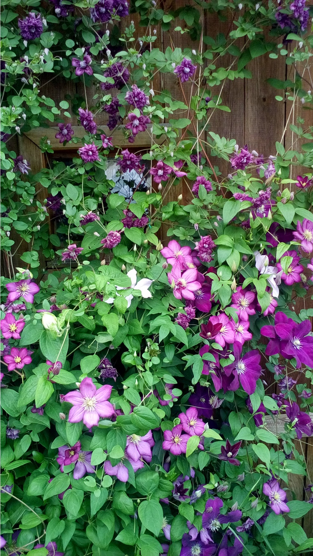 20160710 181539.jpg