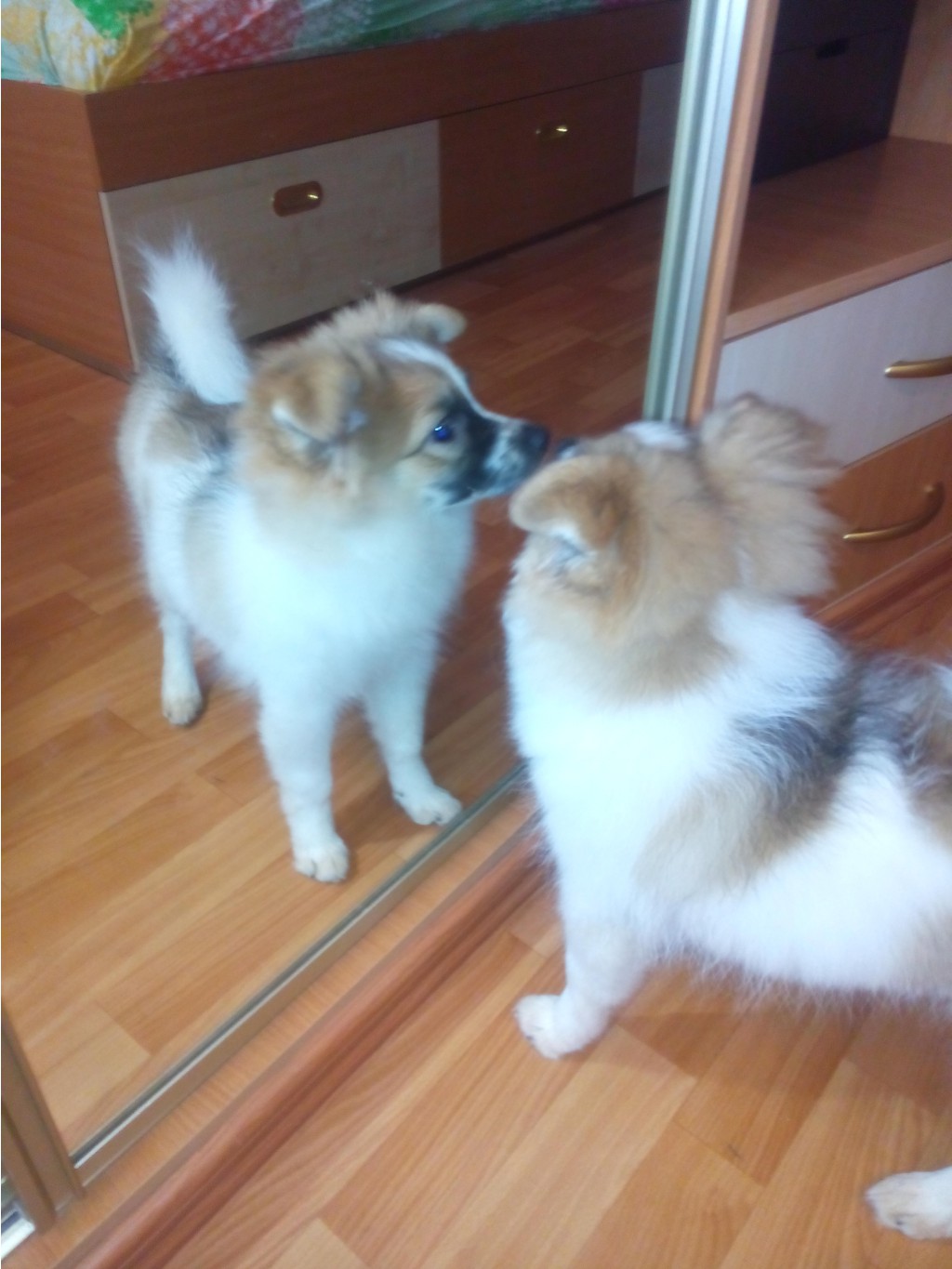 IMG 20161020 123651.jpg