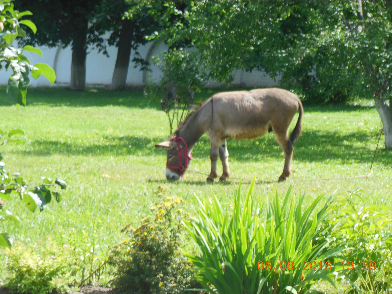 DSCN2171.JPG