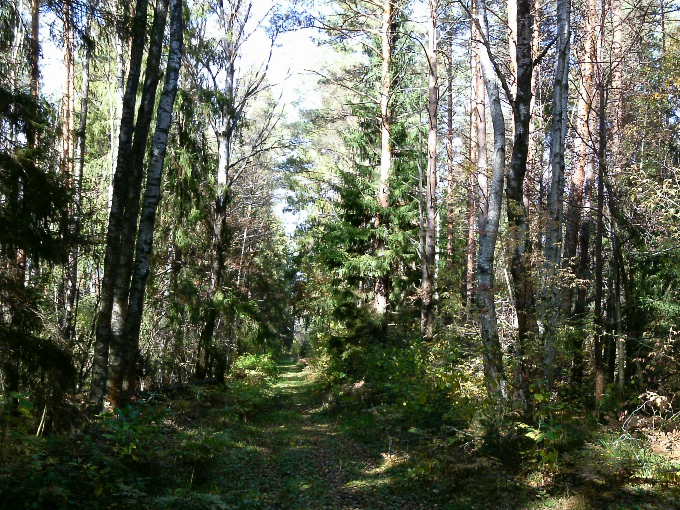 PTDC0375.JPG