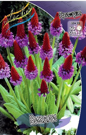 73,4.  (   2 .,   1.).jpg