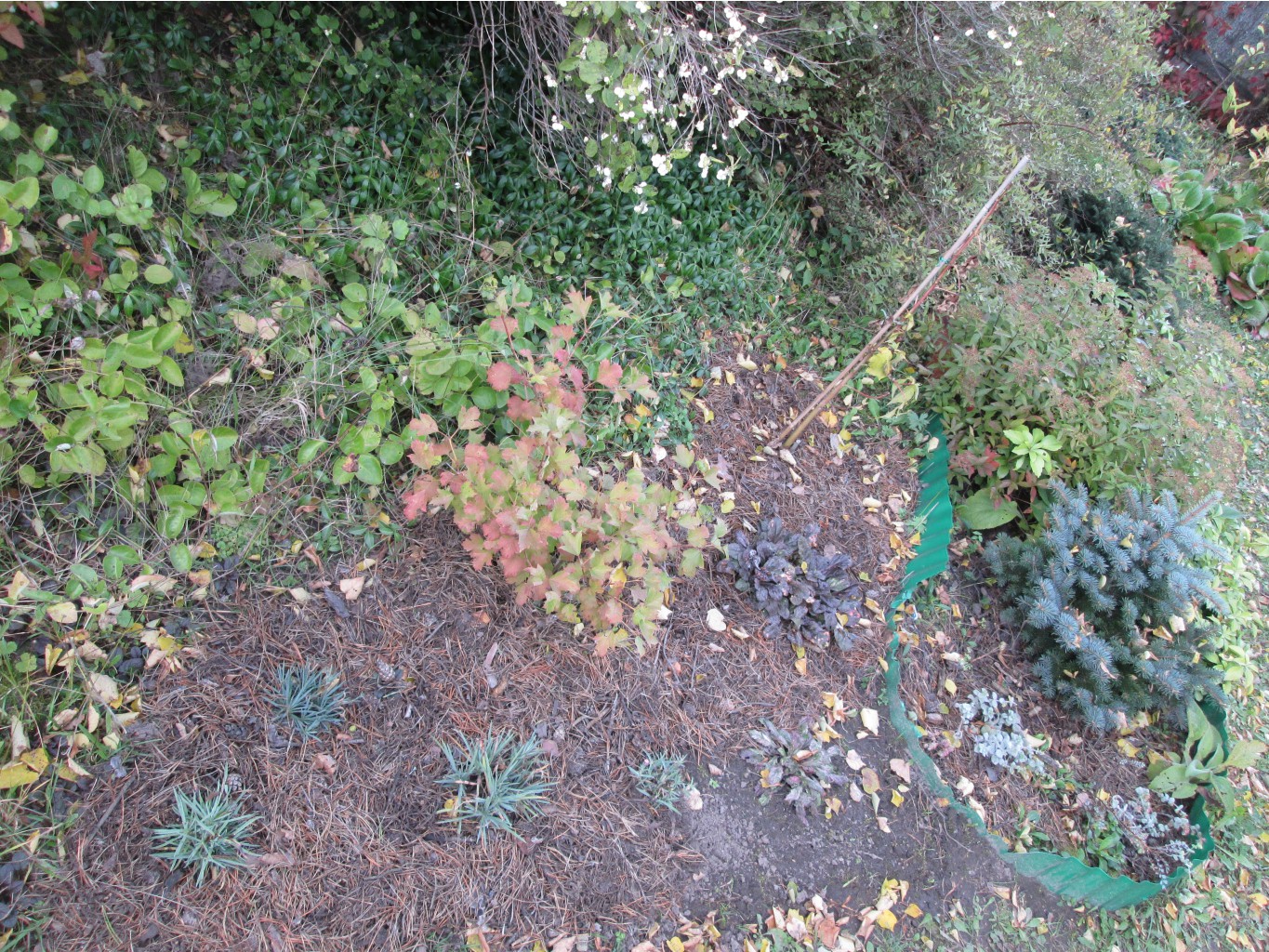 IMG 4652.JPG