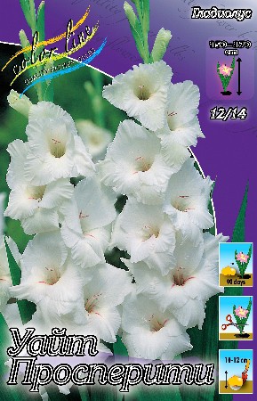 10,68.   (     5.).jpg