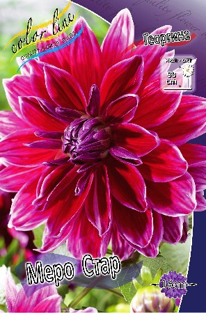 70,7.   (   1 .,   1.).jpg