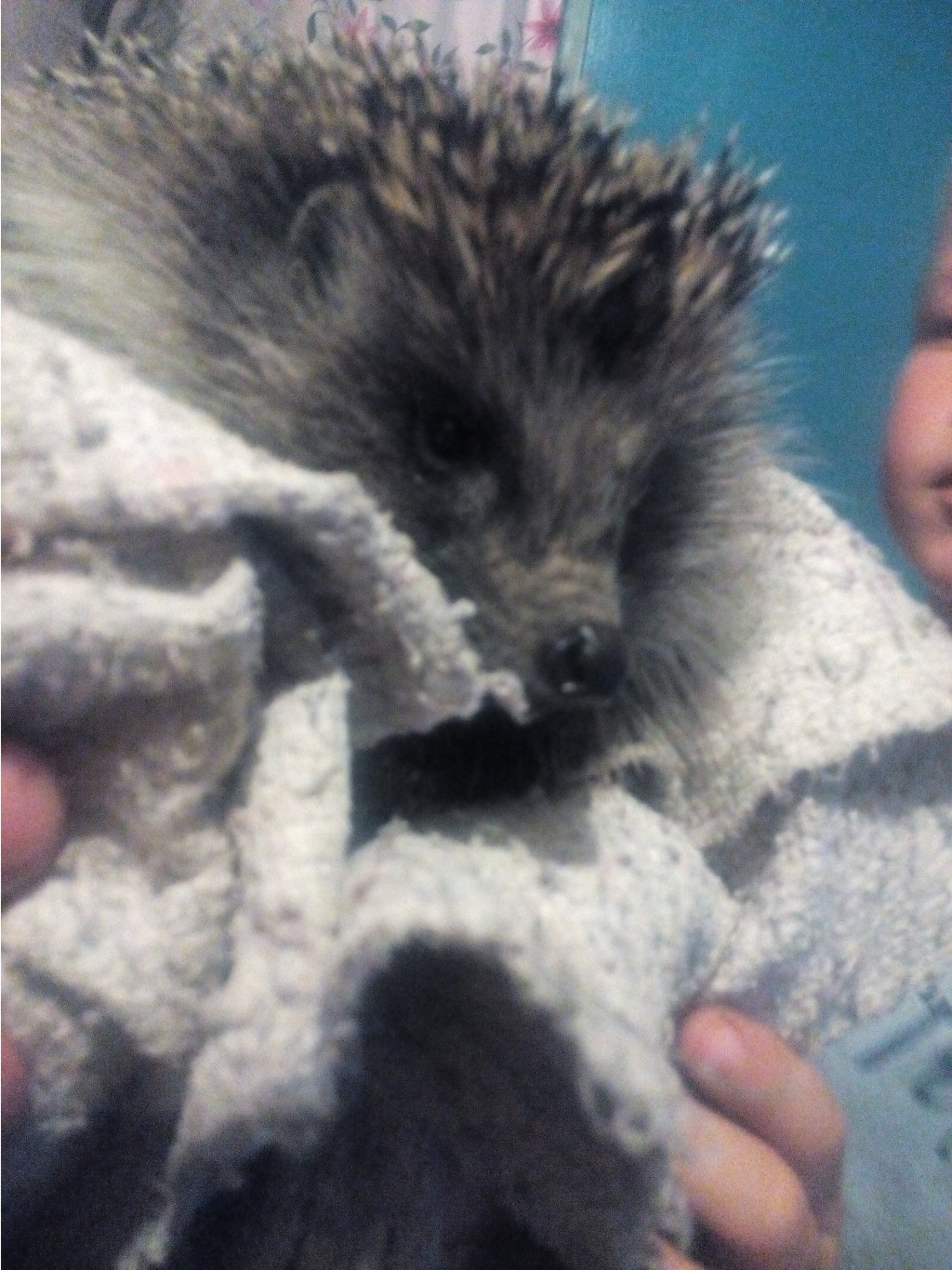 IMG 20160726 213852[1].jpg