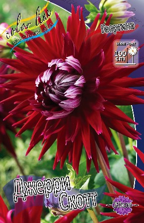 83,5.   (   1 .,   1.).jpg