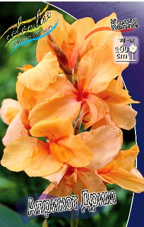 62,35.  ()  (   2 .,   1.).jpg