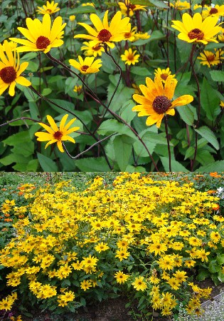 93,95.   (   2 .,   1.).jpg