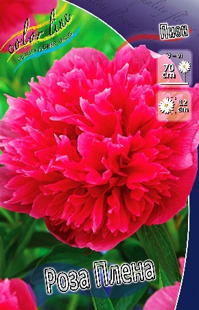 148,4.   (   1 .,   1.).jpg