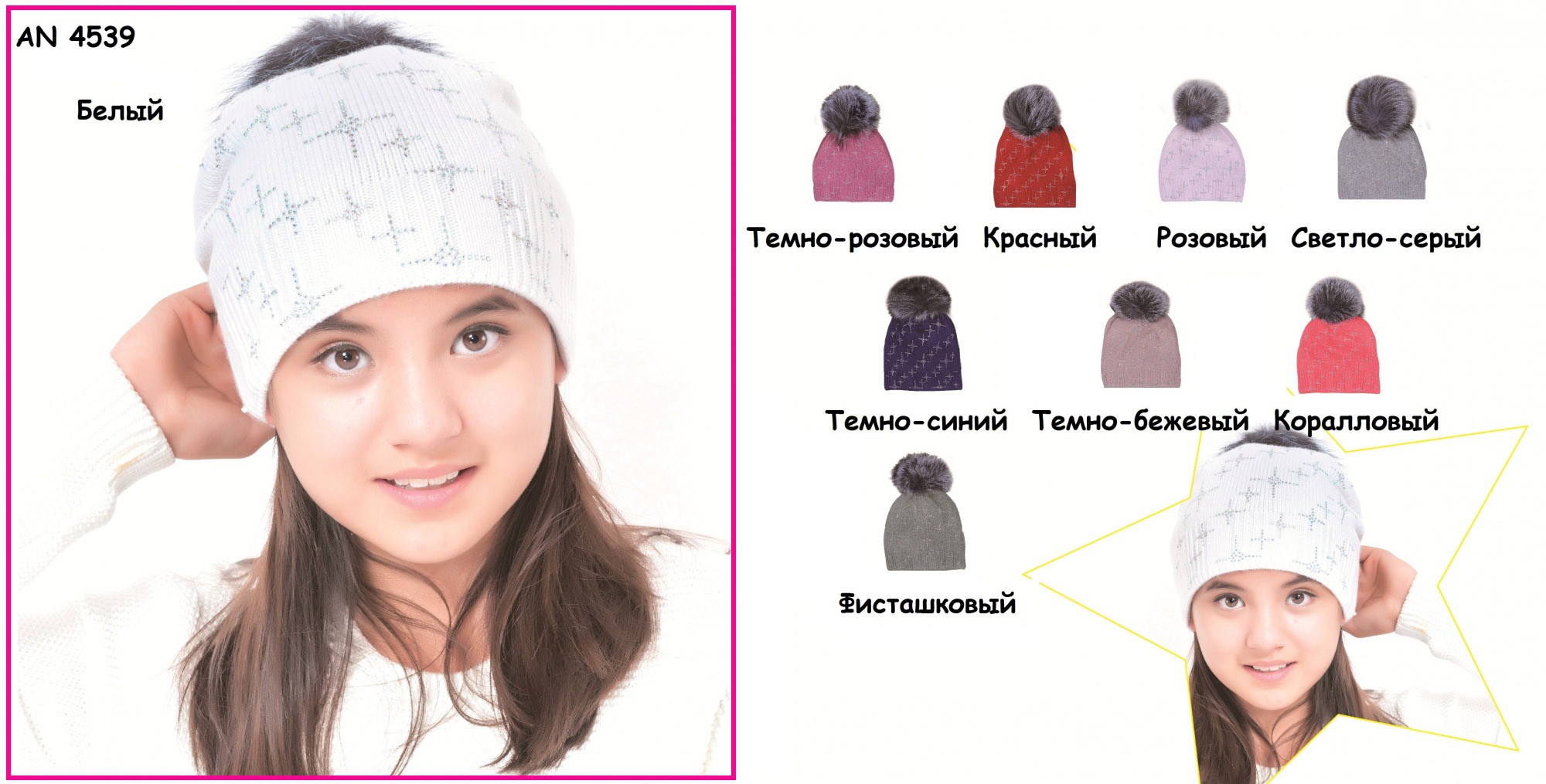 AN 4539 950р