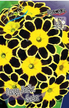 124,7.    (   1 .,   1.).jpg