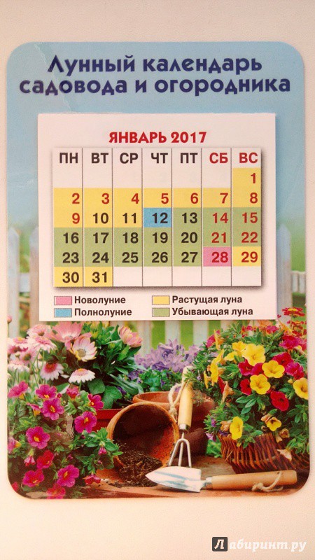 79,52р. 547909