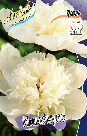 219,5.  (   1 .,   1.).jpg