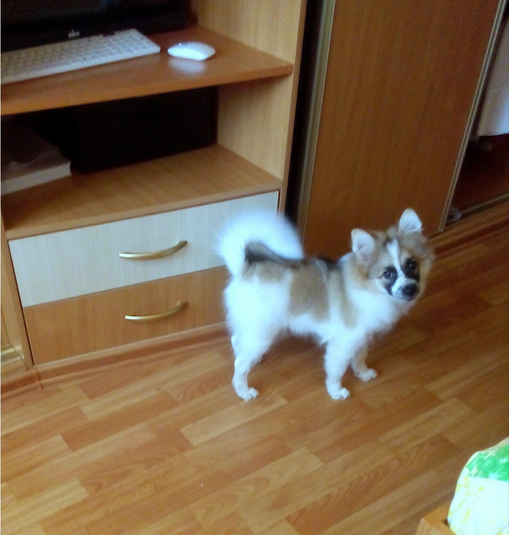 IMG 20161020 124323 254.jpg