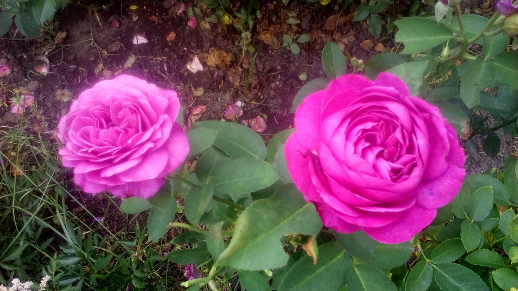 20160707 133627.jpg