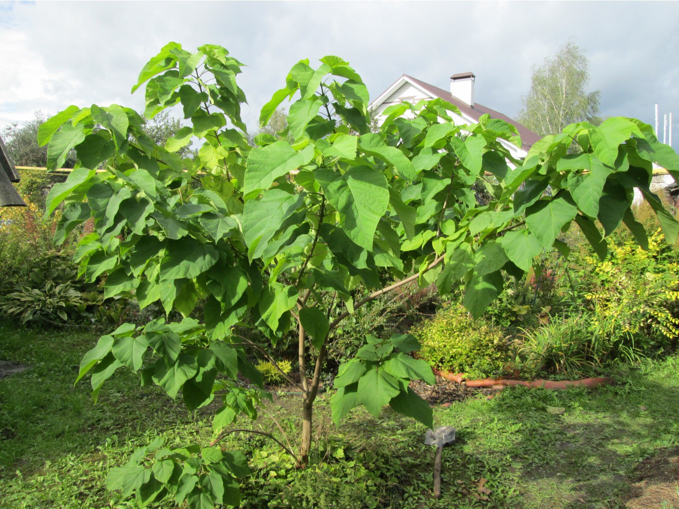IMG 4626.JPG