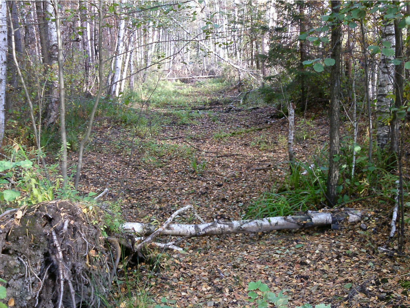 PTDC0474.JPG