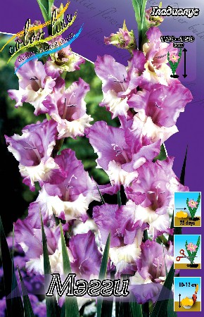 9,41.  (     9 .).jpg