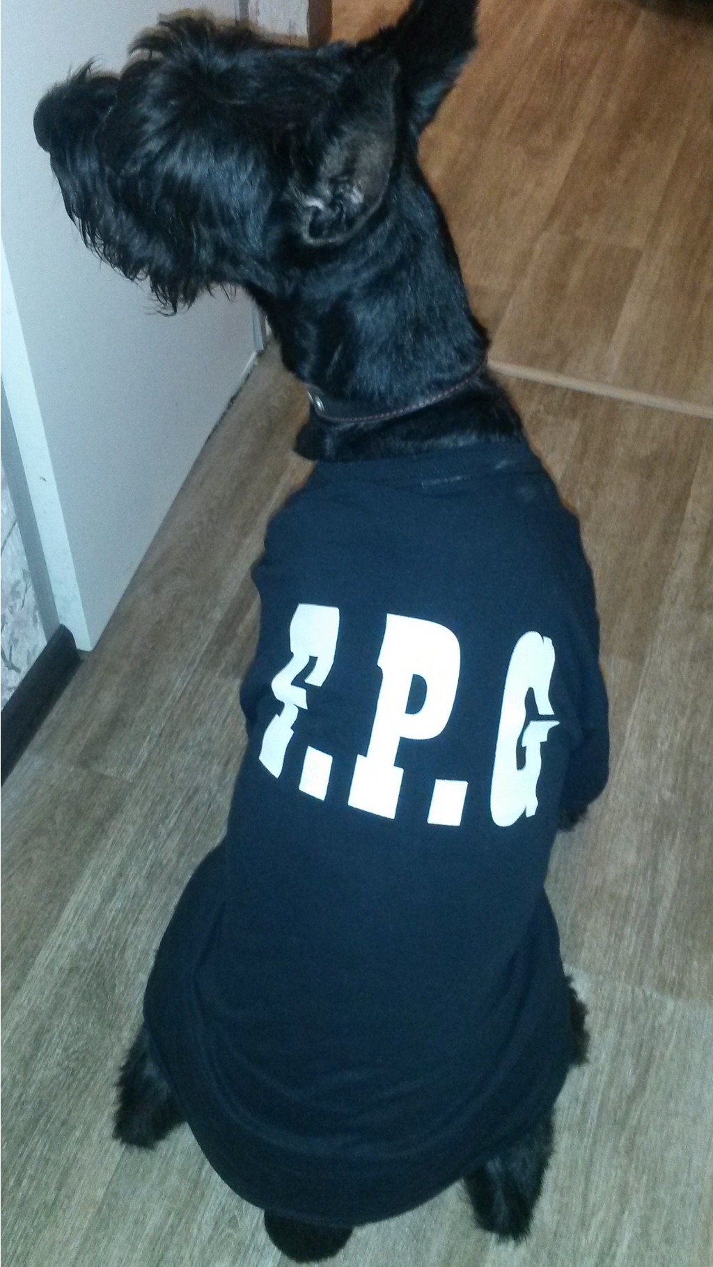   F.P.G