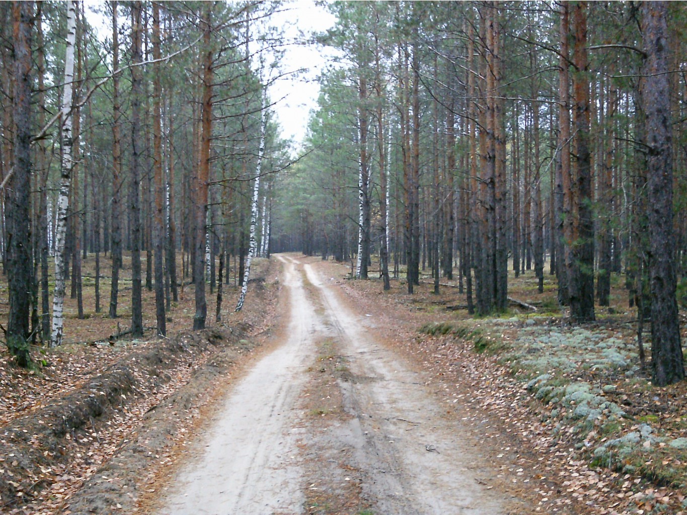 PTDC0566.JPG