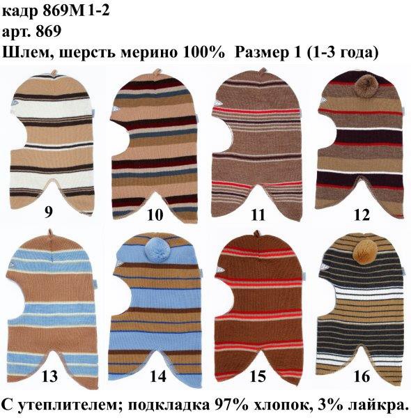 869М1-2.jpg