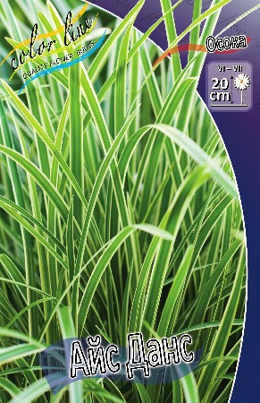 70,25.  (CAREX)  (   2 .,   1.).jpg