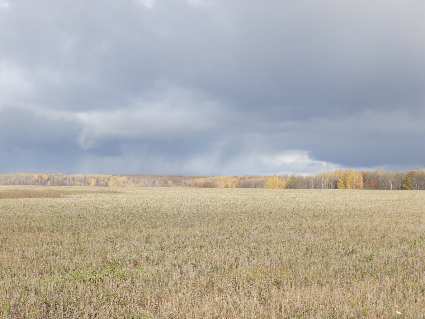PA150115.JPG