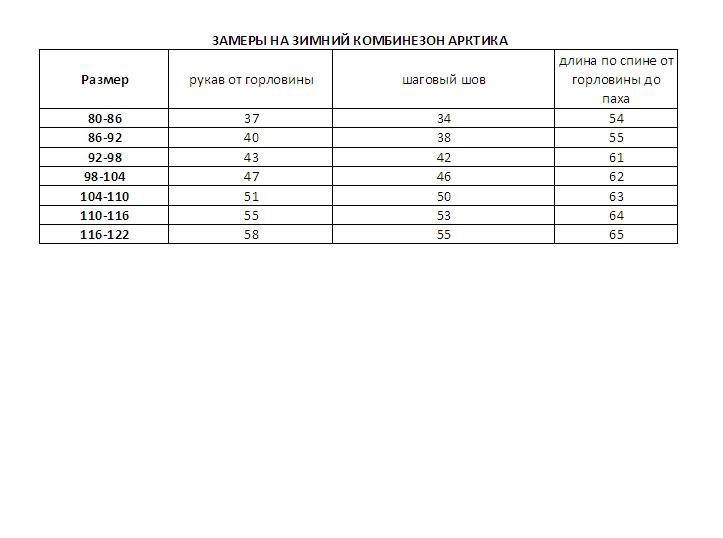 Zamery Detskiy zimniy kombinezon Arktika.jpg