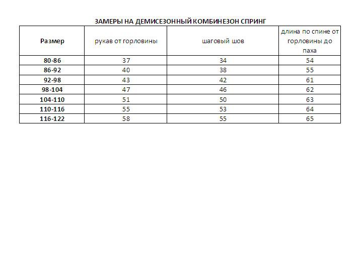 Zamery Detskiy demisezonny kombinezon Spring.jpg