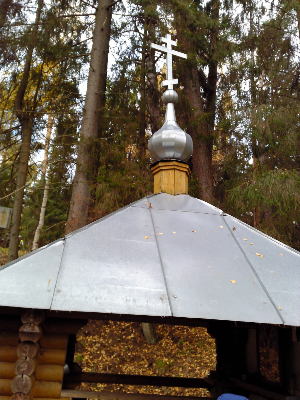 IMG 20161016 105008.jpg