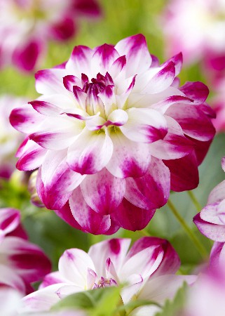 76,7.   (   1 .,   1.)17.jpg