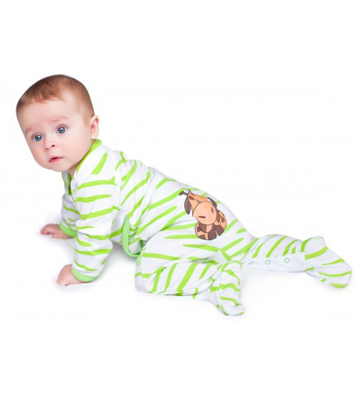 IMG 2635-500x554.jpg