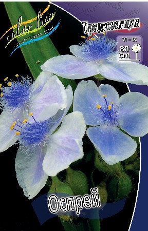 57,6.  (   2 .,   1.).jpg