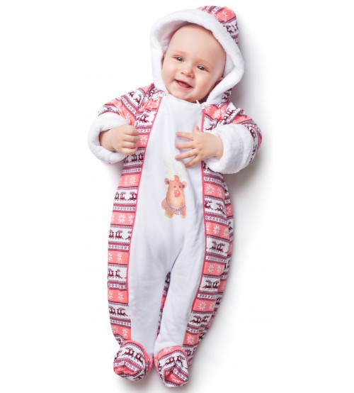 IMG 2640-500x554.jpg