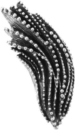 120063, 1350 .