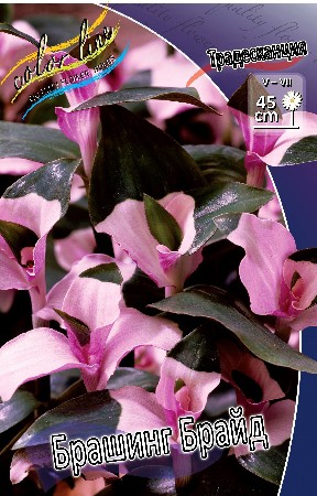 113,7.   (   1 .,   1.).jpg