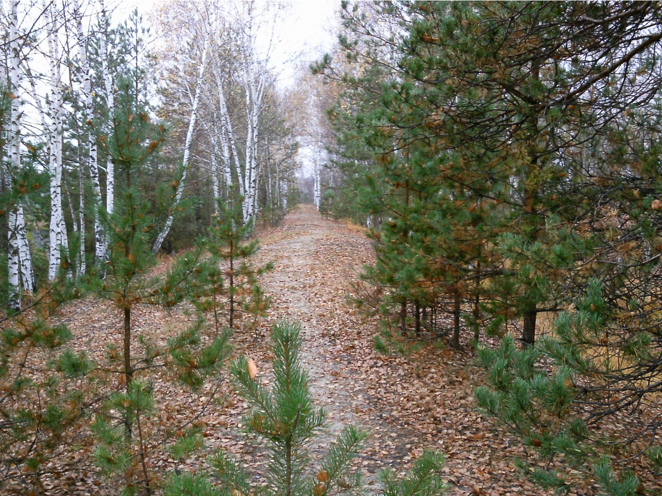 PTDC0550.JPG
