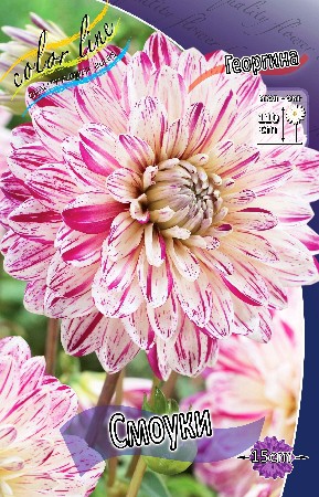 81,8.  (   1 .,   1.).jpg